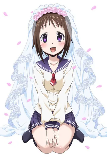 Couverture de Okusama ga Seitokaichou!