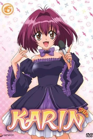 Couverture de Karin