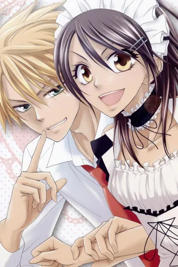 Couverture de Maid Sama!