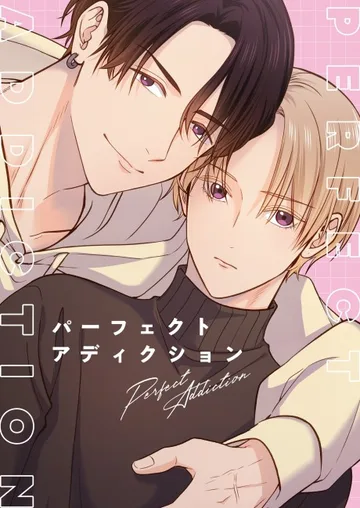 Couverture de Perfect Addiction