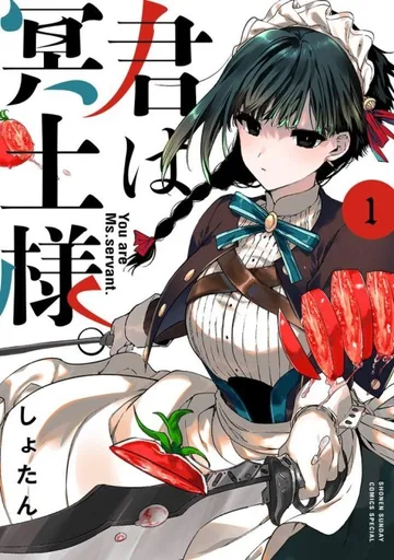 Couverture de You are Ms. Servant