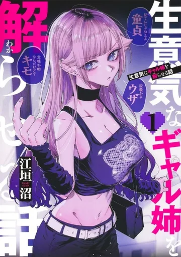 Couverture de How to Handle My Sassy Big Sis
