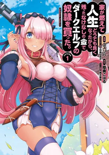 Couverture de Ie ga Moete Jinsei Dou Demo Yoku Natta kara, Nokotta Nakenashi no Kin de Dark Elf no Dorei wo Katta.