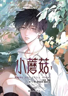 Couverture de Little Mushroom
