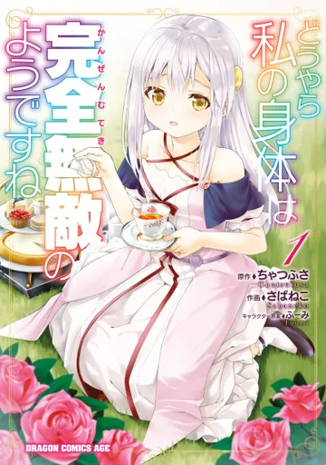 Couverture de The Invincible Little Lady
