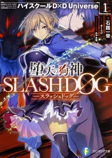 Couverture de High School DxD