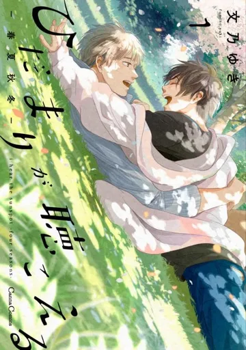 Couverture de I Hear the Sunspot