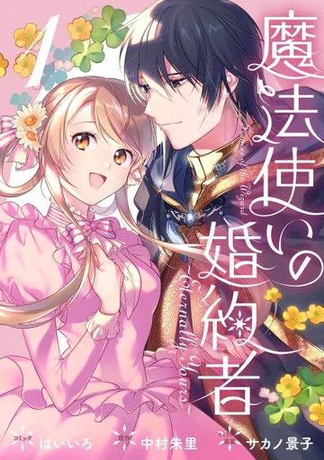Couverture de Fiancée of the Wizard