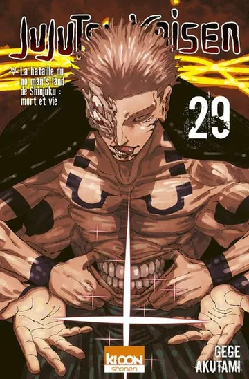 Couverture du tome 29 de Jujutsu Kaisen